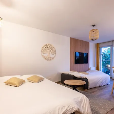 Appartement Disneyland-charmant 8 Personnes-terrasse-gare-parking *